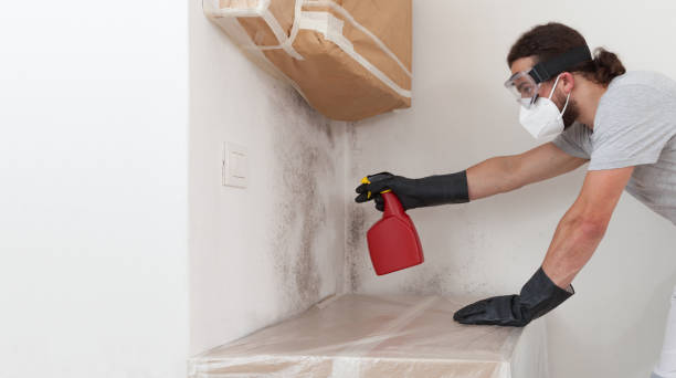 Professional Crawl Space Mold Remediation technician working in South River, NJ