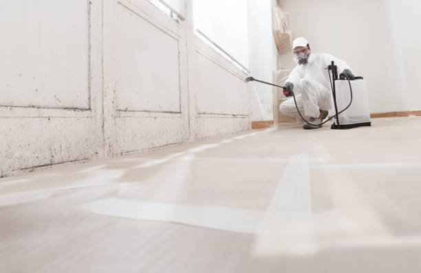 24/7 Emergency Crawl Space Mold Remediation experts in South River, NJ
